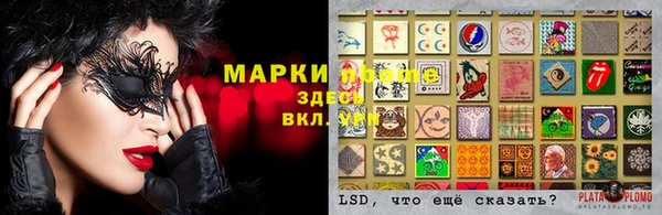мяу мяу мука Арсеньев